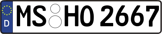 MS-HO2667