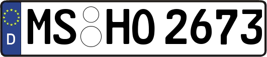 MS-HO2673