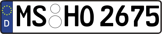 MS-HO2675