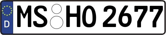 MS-HO2677