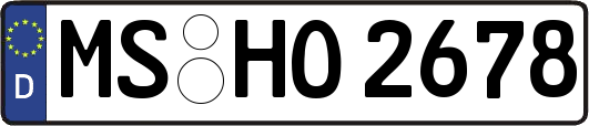 MS-HO2678