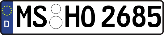 MS-HO2685