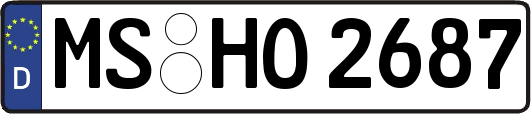 MS-HO2687