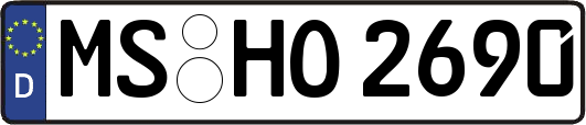 MS-HO2690