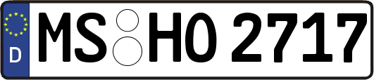 MS-HO2717