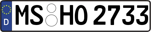MS-HO2733