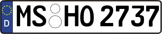 MS-HO2737