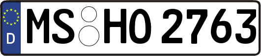 MS-HO2763