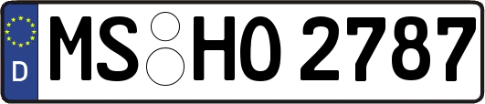 MS-HO2787