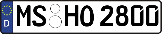 MS-HO2800