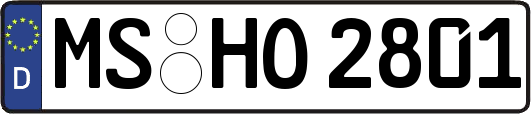 MS-HO2801