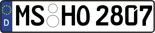 MS-HO2807