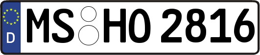 MS-HO2816