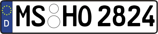 MS-HO2824