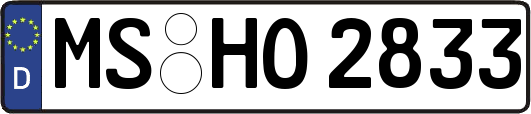 MS-HO2833