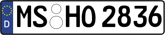 MS-HO2836