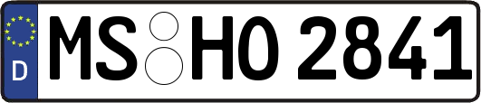 MS-HO2841