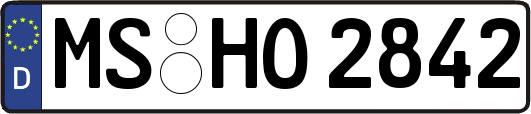 MS-HO2842