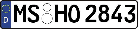 MS-HO2843