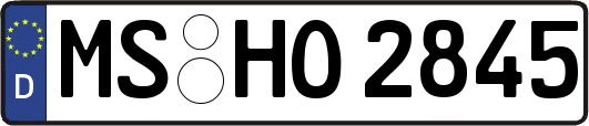 MS-HO2845