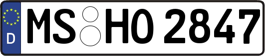 MS-HO2847