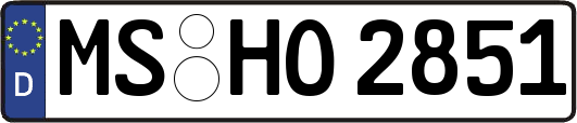 MS-HO2851