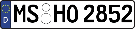 MS-HO2852