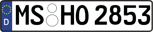 MS-HO2853