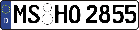 MS-HO2855