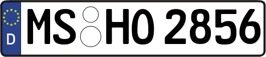 MS-HO2856