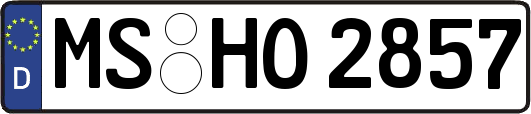 MS-HO2857