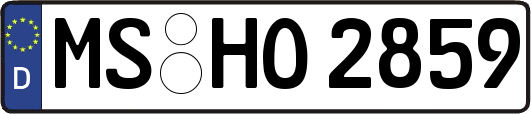 MS-HO2859