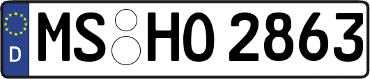 MS-HO2863