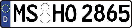 MS-HO2865