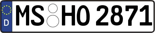 MS-HO2871