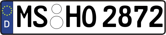 MS-HO2872
