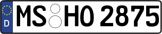 MS-HO2875
