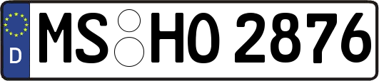 MS-HO2876