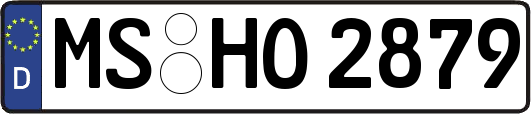 MS-HO2879