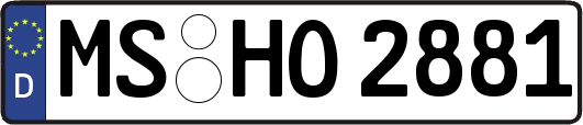 MS-HO2881
