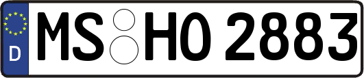 MS-HO2883