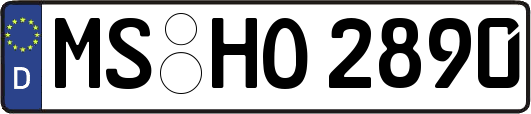 MS-HO2890