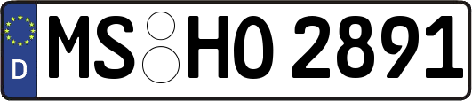 MS-HO2891