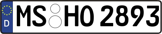 MS-HO2893