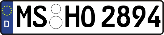 MS-HO2894