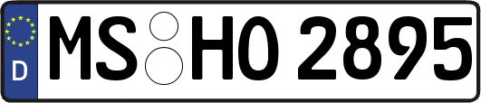 MS-HO2895