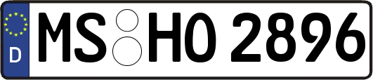 MS-HO2896