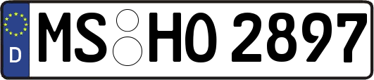 MS-HO2897