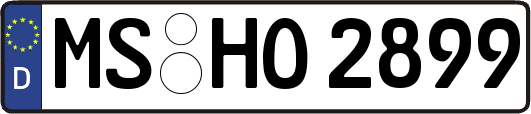 MS-HO2899