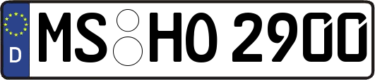 MS-HO2900